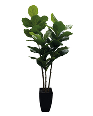 Фикус искусственный, 120см