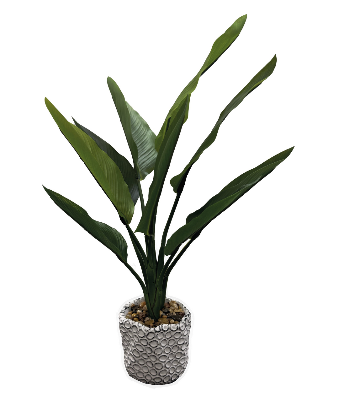 Стрелиция искусственная, 50см