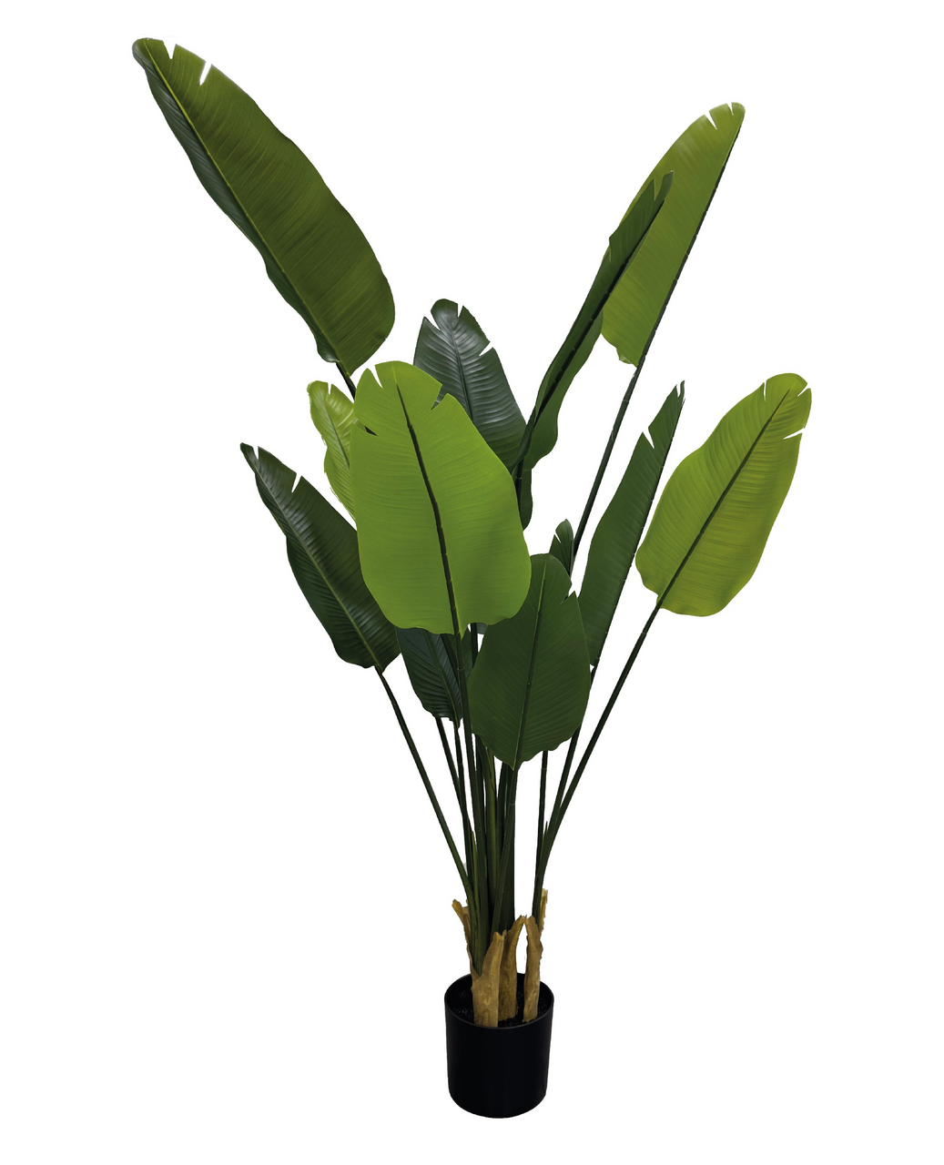 Стрелиция искусственная, 160см