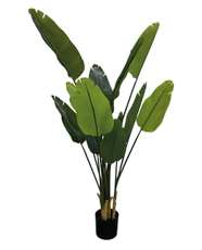 Стрелиция искусственная, 160см