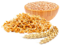 Проростки пшеницы, 70г