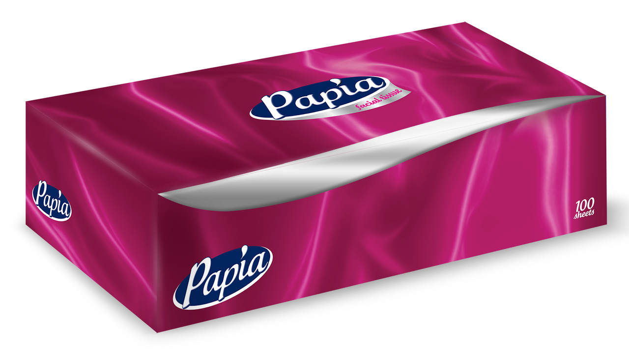 Салфетки бумажные Papia двуслойные, 100шт