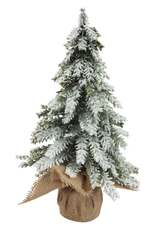 Tarrington House Ель в мешочке, 35см