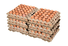 Яйцо куриное пищевое С1, 360шт