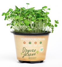 Микрозелень горчицы Другая зелень 20г