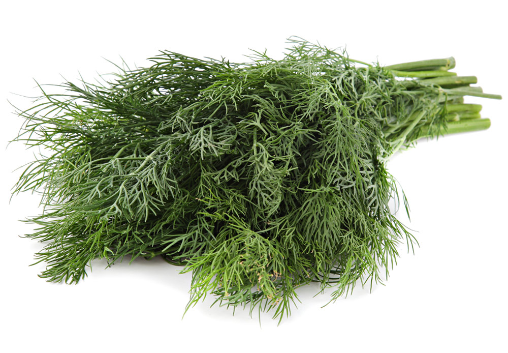 Укроп свежий, 100г