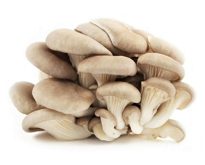 Грибы вешенка, ~500г