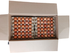 Яйцо куриное Новомышастовская ПФ пищевое С1, 360шт