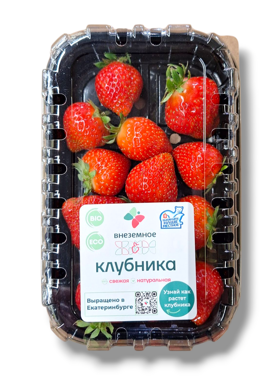 Клубника свежая Внеземное 200г
