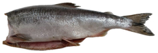 Горбуша тушка потрошеная без головы охлажденная, ~500г-1.2кг