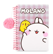Набор Molang блокнот на спирали А5 + наклейки, 48л