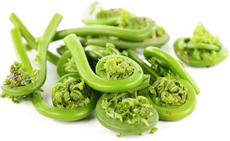 Папоротник Разносол соленый, 300г