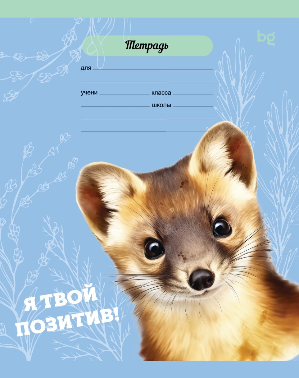 Изображение товара Тетрадь BG Mix-10 Девочки линия, 12л