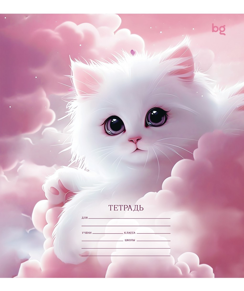 Изображение товара Тетрадь BG Mix-10 Девочки клетка, 12л