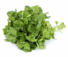 Кинза свежая, 70г
