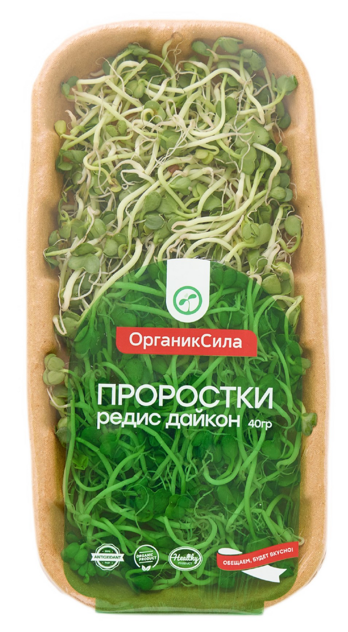 Проростки Органиксила редис дайкон, 40г