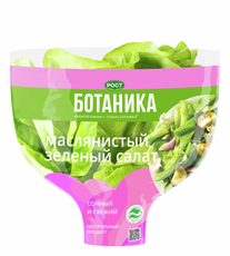 Салат латук Ботаника маслянистый зеленый в горшочке, 200г
