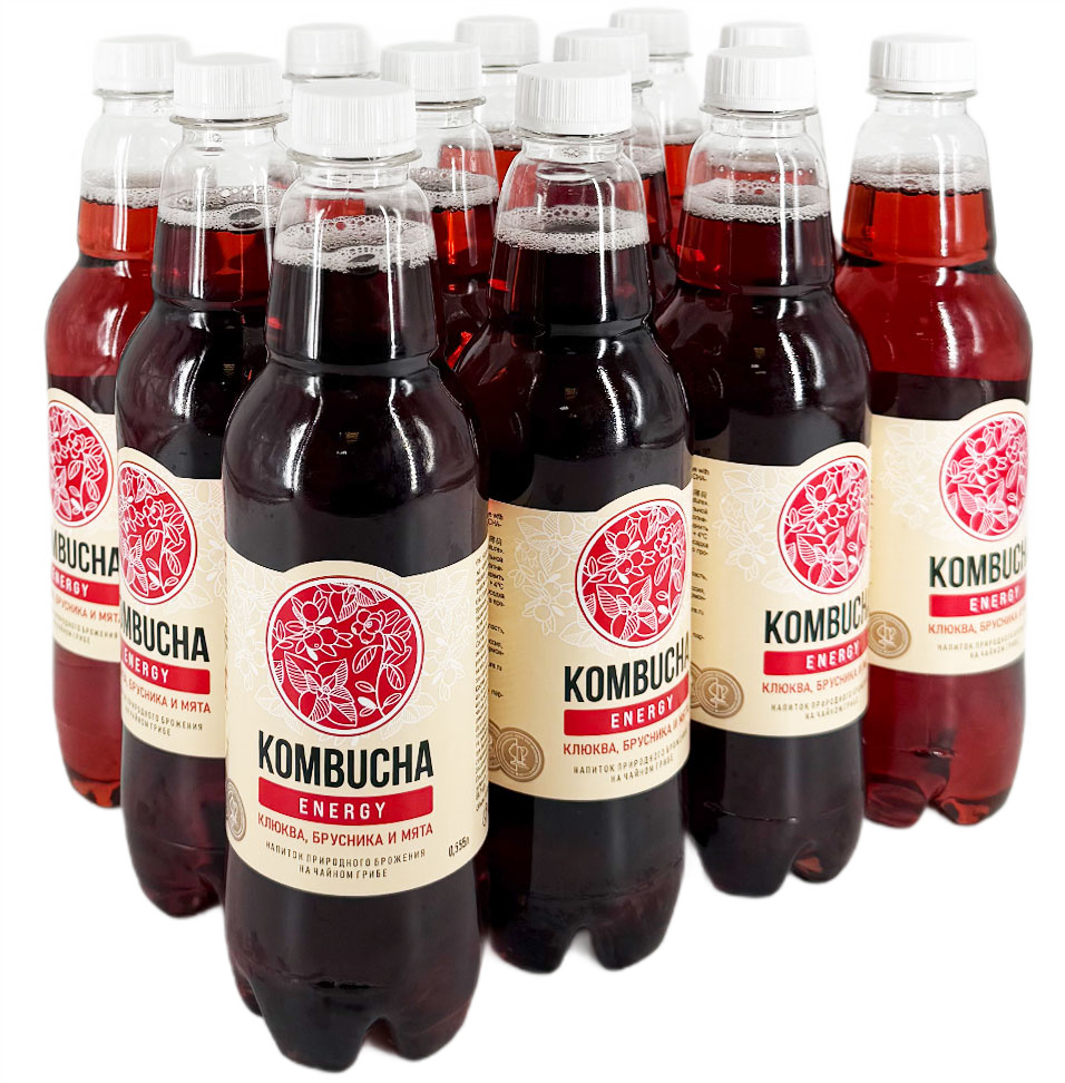 Напиток на чайном грибе Комбуча Absolute Nature Energy с клюквой, брусникой и свежей мятой, 555мл х 12 шт