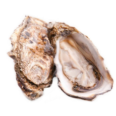 Устрицы Средиземноморские №1, 130г