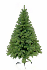 Ель Mag 2000 Эмилия, 180см