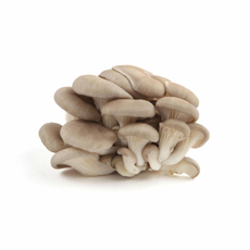 Грибы вешенка, 300г