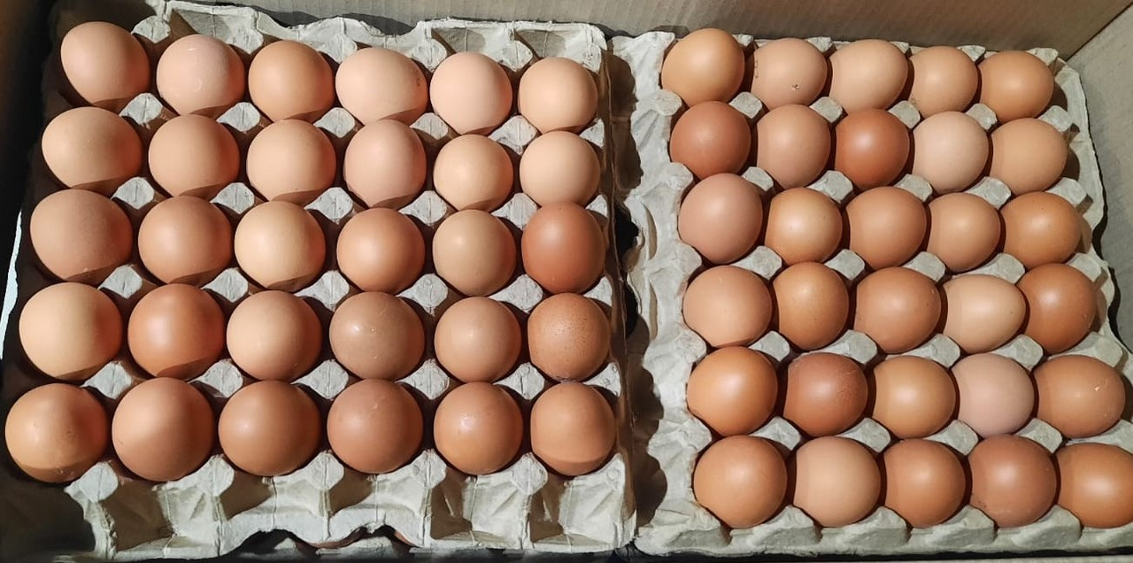 Яйцо куриное пищевое С0, 360шт