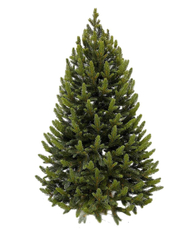 Ель в мешочке Treedeluxe зеленая 100% литая, 90см