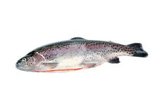 Форель радужная, ~300-400г