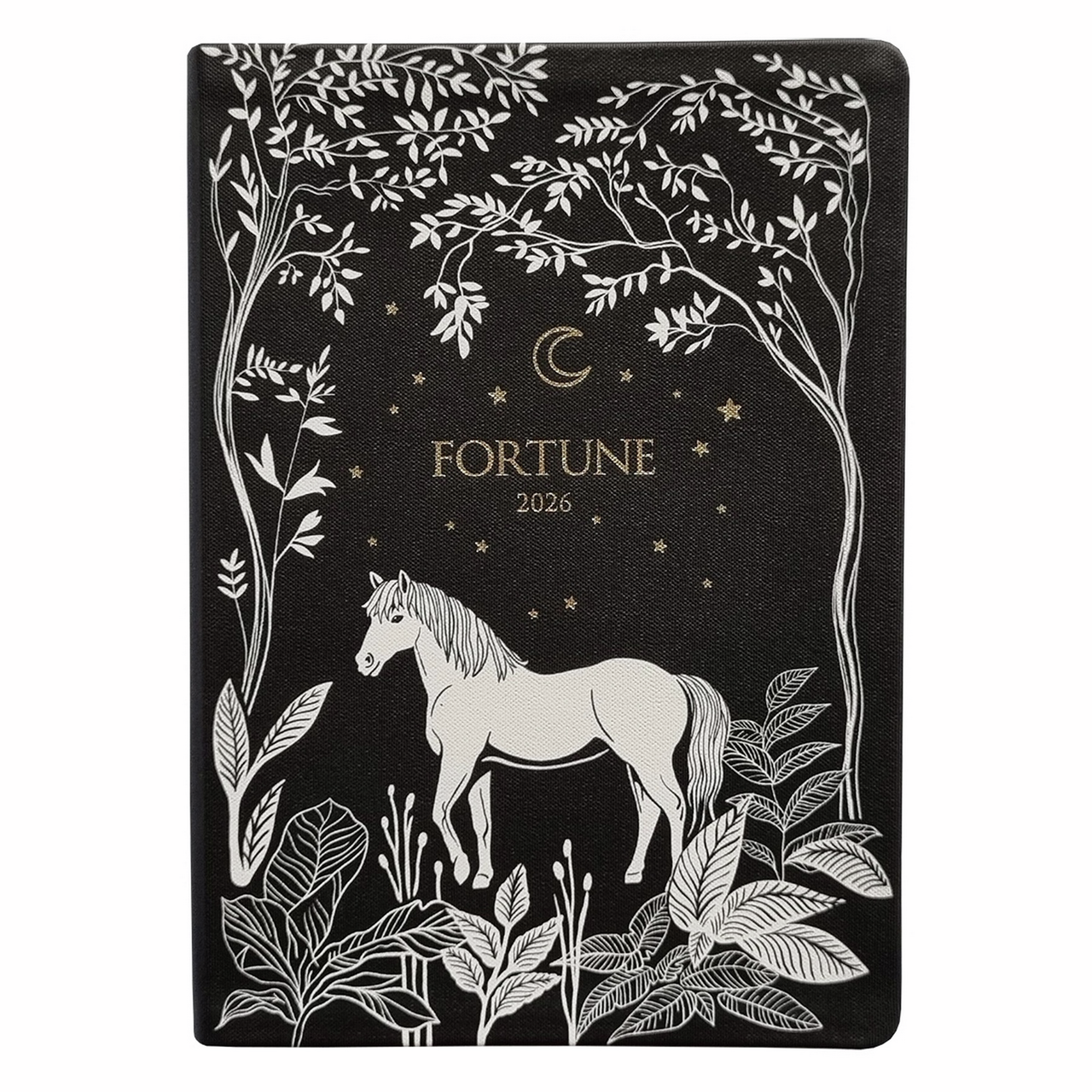 Изображение товара Ежедневник датированный Infolio Fortune А5 176л, 14 x 20см