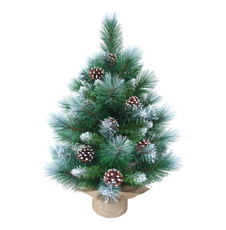 Tarrington House Сосна с шишками, 60см