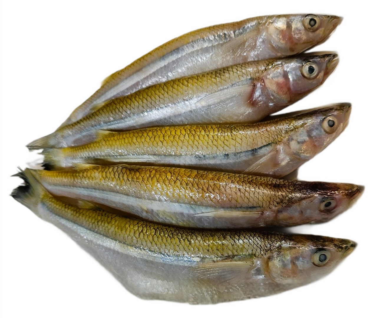 Корюшка неразделанная 17+, ~1кг