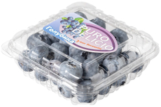 Голубика Puro Delicio 125г