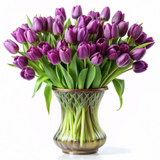 Тюльпаны в букете суперэкстра, 51шт