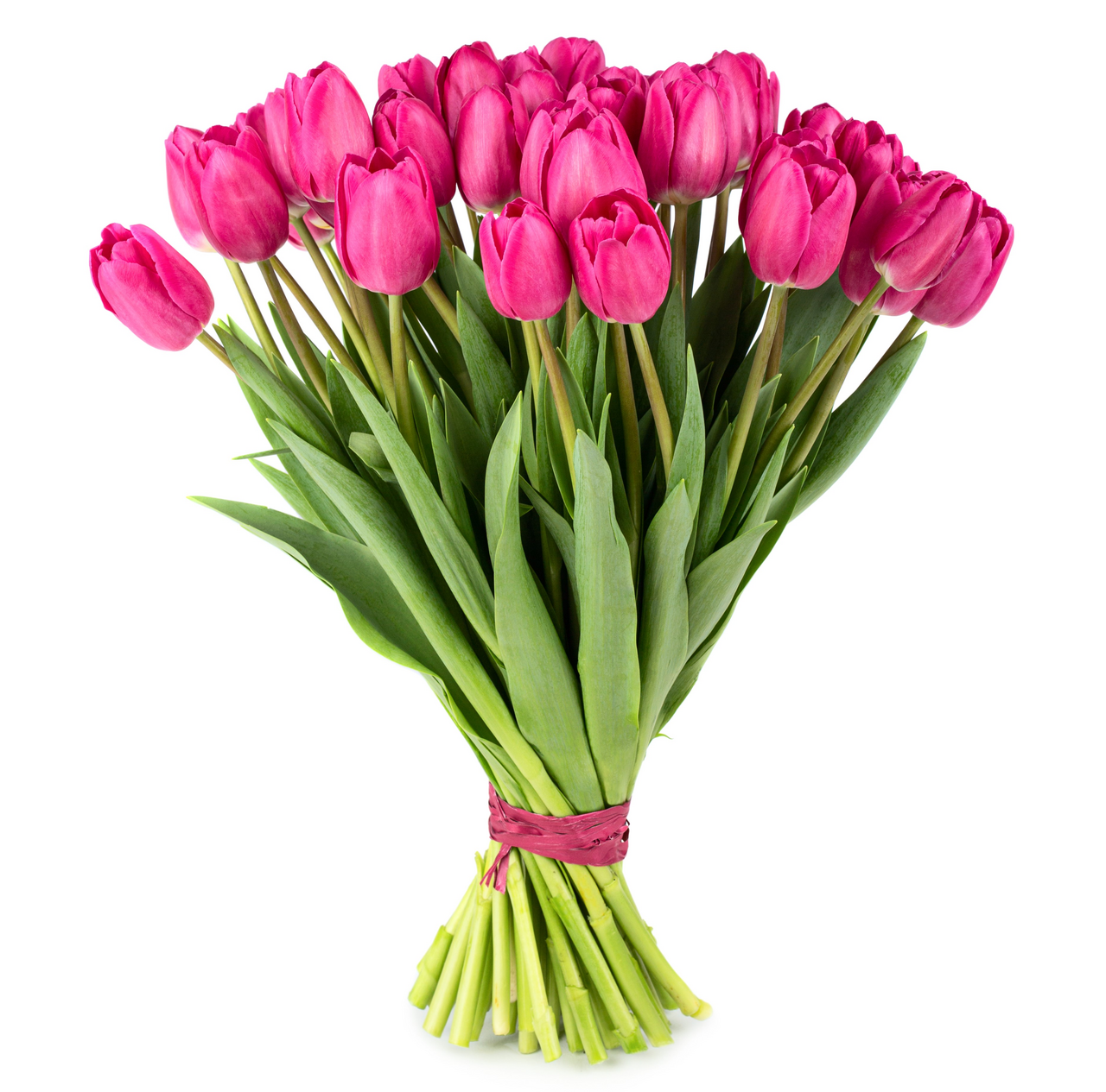 Тюльпаны в букете суперэкстра, 25шт