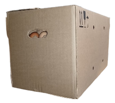 Яйцо куриное Третьяковская ПФ мытое С0, 360шт