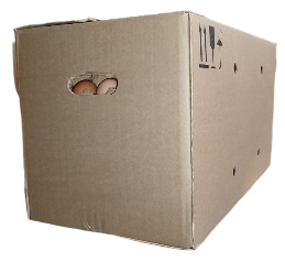 Яйцо куриное Третьяковская ПФ мытое С1, 360шт