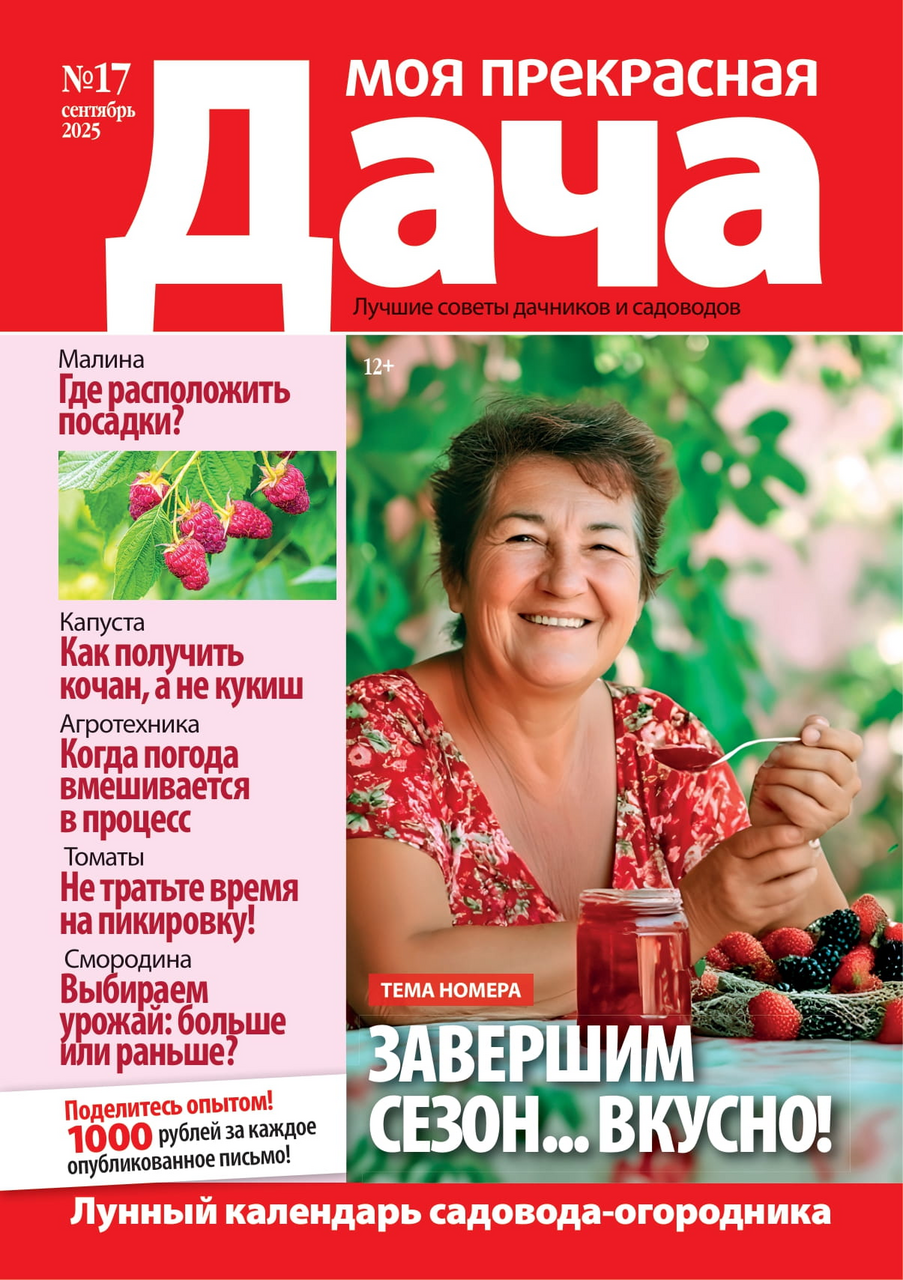 Журнал Моя прекрасная дача