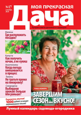 Журнал Моя прекрасная дача