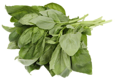 100ГР БАЗИЛИК ЗЕЛЕНЫЙ БИО (ЛОТОК)