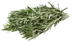 100ГР РОЗМАРИН БИО (ЛОТОК)