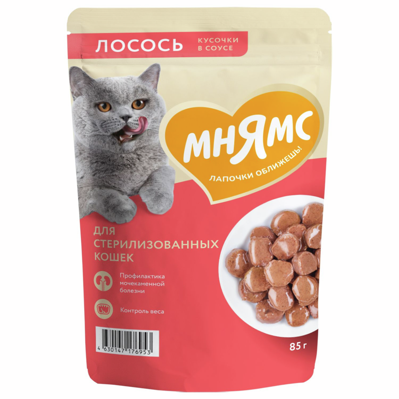 Корм влажный Мнямс для кошек кусочки в соусе лосось, 85г