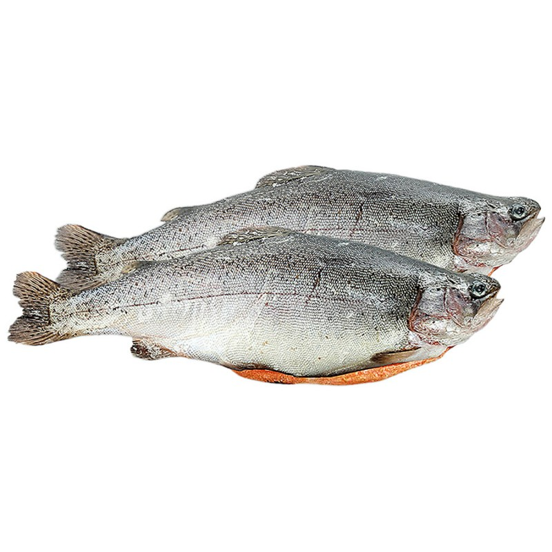 Изображение товара Форель радужная розовое мясо охлажденное, ~1-2кг