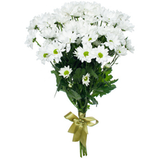 Букет Хризантема кустовая, 3шт