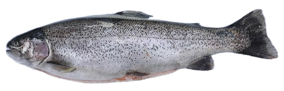 Форель радужная филе с кожей охлажденная, ~1.2кг