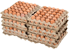 Яйцо куриное С0, 360шт