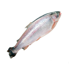 Форель радужная потрошеная с головой, ~500г