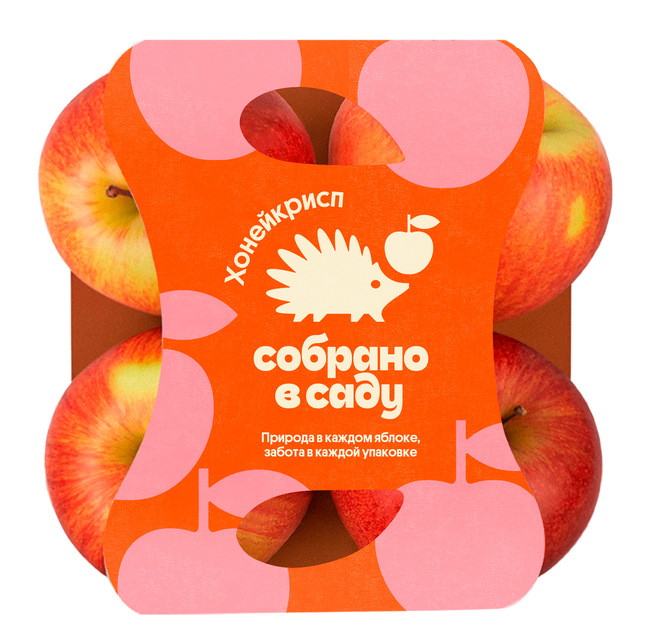 Изображение товара Яблоки Собрано в саду Хонейкрисп 600г, свежие и хрустящие