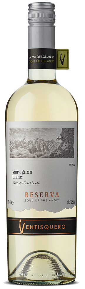 Вино Ventisquero Reserva Soul of the Andes Sauvignon Blanc белое сухое, 0.75л