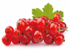 Смородина красная, 250г