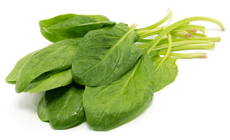 Щавель свежий, 200г